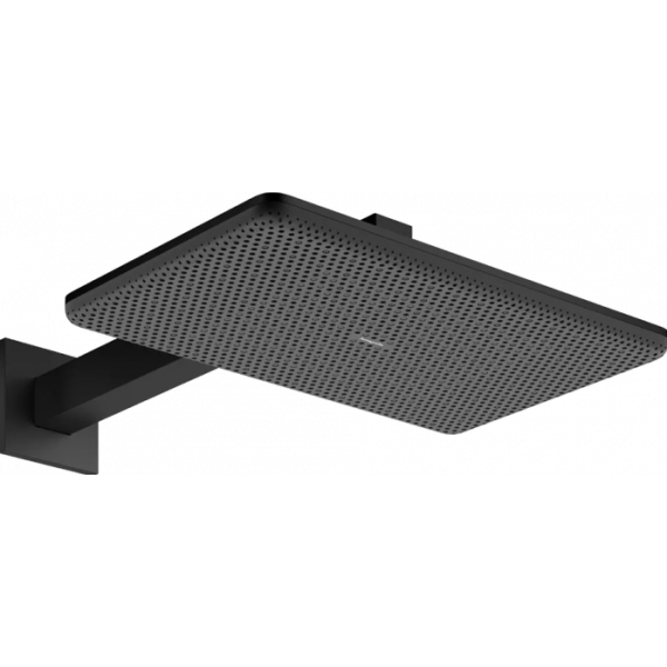 Верхний душ Hansgrohe Raindance Alive S 24550670 черный матовый