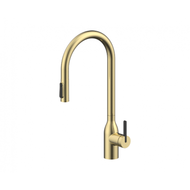 Смеситель для кухни Paulmark UNIVERSAL Un213880-LG светлое золото