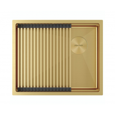 Мойка Paulmark NEXT-PRO 54 UNI PM705445-LG светлое золото