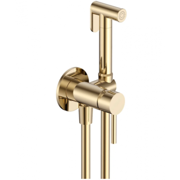 Гигиенический душ AQUAME Siena AQM6217BG золото шлифованное