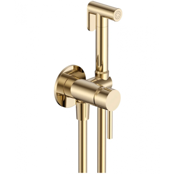 Гигиенический душ AQUAME Siena AQM6217BG золото шлифованное