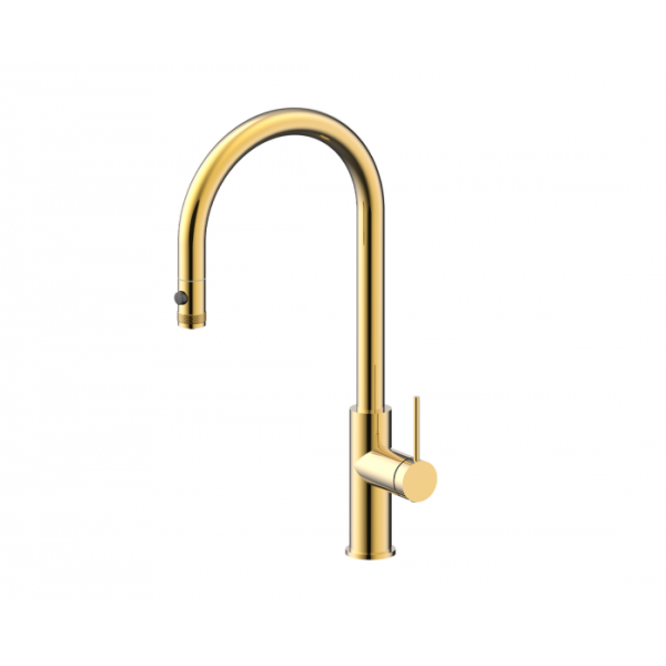 Смеситель для кухни Paulmark Galant Ga213077-LG светлое золото