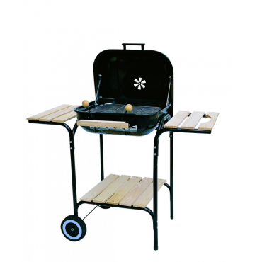 Гриль-коптильня Green Glade ASK21 (28022A)